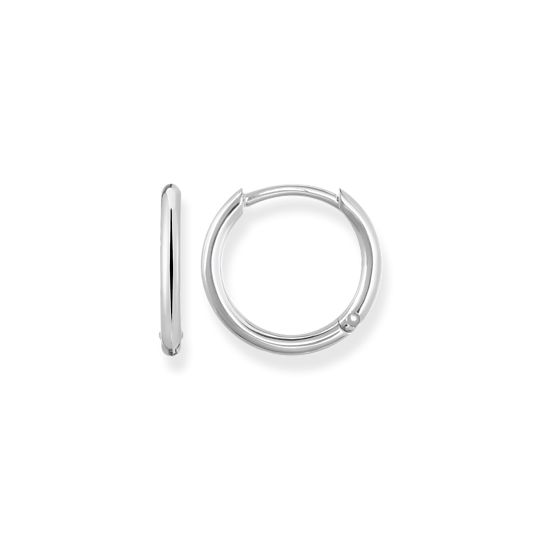 Hoop earrings small