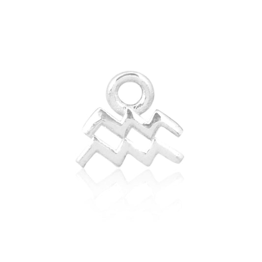 Aquarius Charm (Water Bearer): January 20–February 18