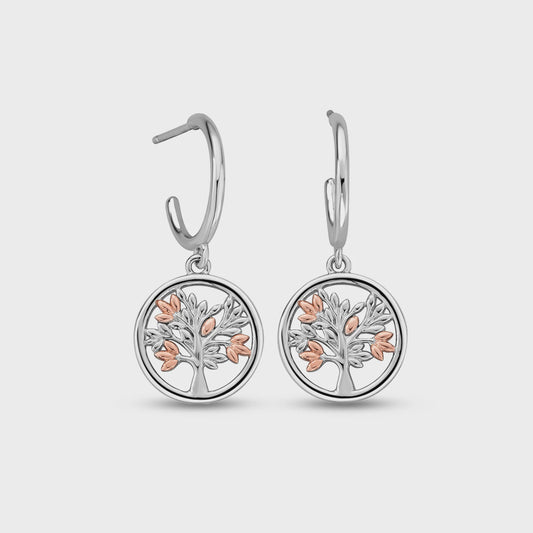 Clogau Tree of Life® Sterling Silver Drop Earrings