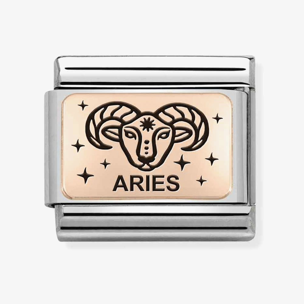Composable Classic ZODIAC (IC) steel and bonded rose gold (01_Aries)