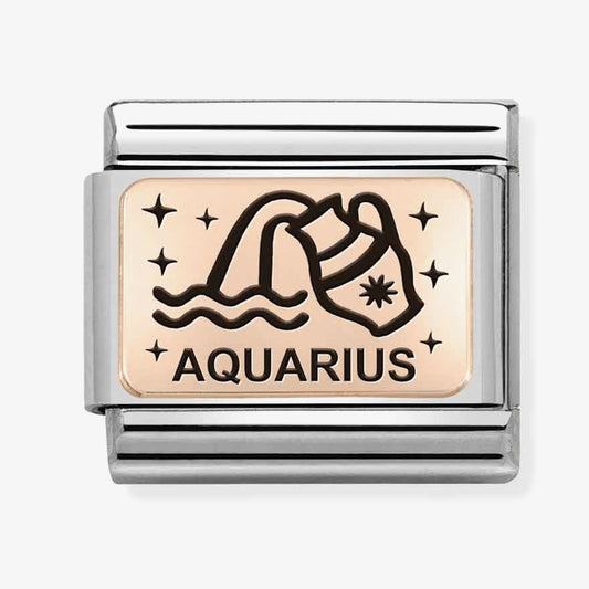 Composable Classic ZODIAC (IC) steel and bonded rose gold (11_Aquarius)