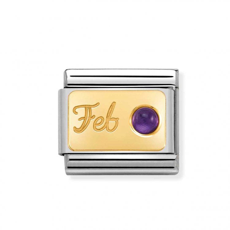 Composable Classic MONTH STONE in steel, stones and bonded yellow gold (02_February AMETHYST)