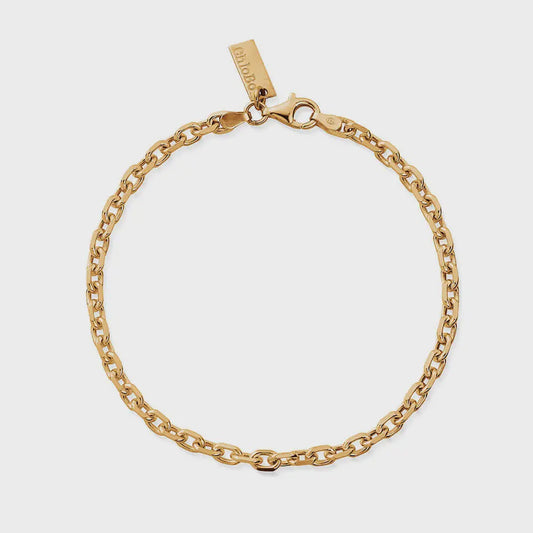 Men's Anchor Chain Bracelet GOLD