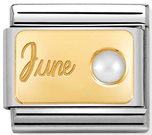 Composable Classic MONTH STONE in steel, stones and bonded yellow gold (06_June WHITE PEARL)