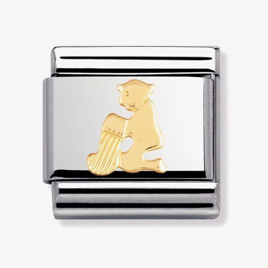 COMPOSABLE Classic ZODIAC in stainless steel with bonded yellow gold (11_Aquarius)